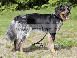 2976 Esterka