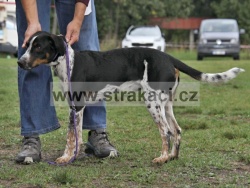 3203 Artu�