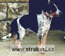 322 Arna