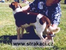 325 Bohat�r
