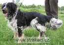 327 Budul�nek