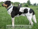 386 Baf�k