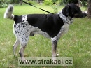 409 Gro�