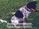 444 Cirka