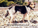 449 Bo�enka