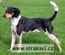 450 Bert�k
