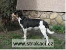 518 Arna