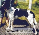 531 Eli�ka