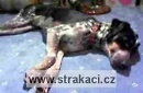 546 Indi�n