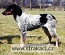 553 Blesk