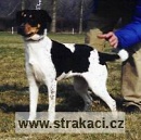 562 Jasm�na