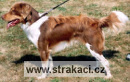 573 Fido