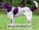 607 Hv�zda