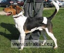 681 Erik