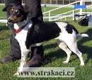 685 Esterka