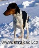 691 Aida