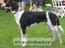 727 Inka