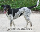 736 Norika