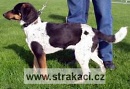 739 Charlie