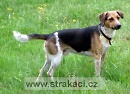 775 Em�r