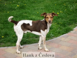809 Hank