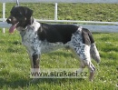 836 A V�ak
