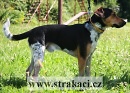 841 Edgar