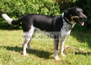 848 Monty