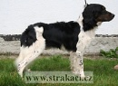 927 Derek