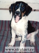 939 Oskar