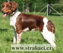 957 Ad�lka
